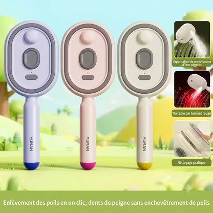 Brosse à vapeur électrique  sans fil 2 en 1