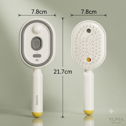 Brosse à vapeur électrique  sans fil 2 en 1