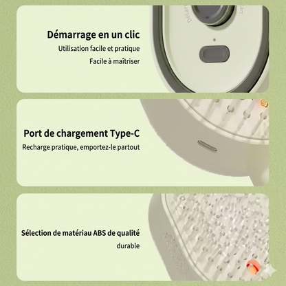 Brosse à vapeur électrique  sans fil 2 en 1