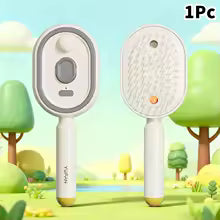 Brosse à vapeur électrique  sans fil 2 en 1