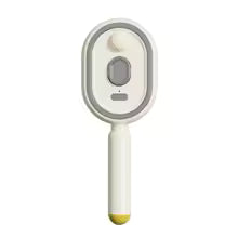 Brosse à vapeur électrique  sans fil 2 en 1