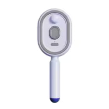 Brosse à vapeur électrique  sans fil 2 en 1