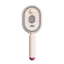 Brosse à vapeur électrique  sans fil 2 en 1